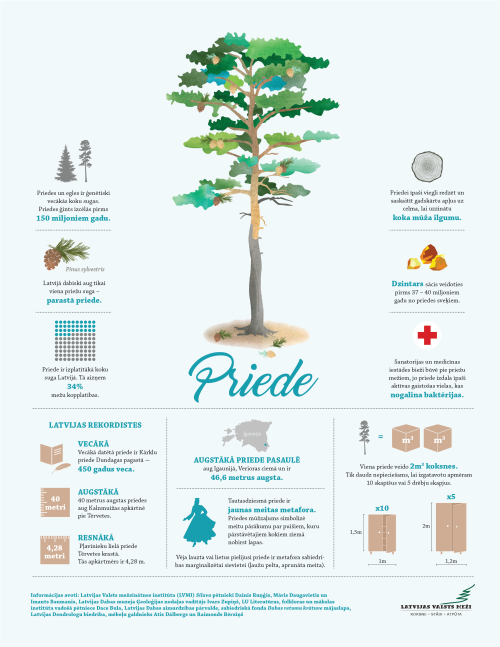 Infografika PRIEDE izskatanai 01