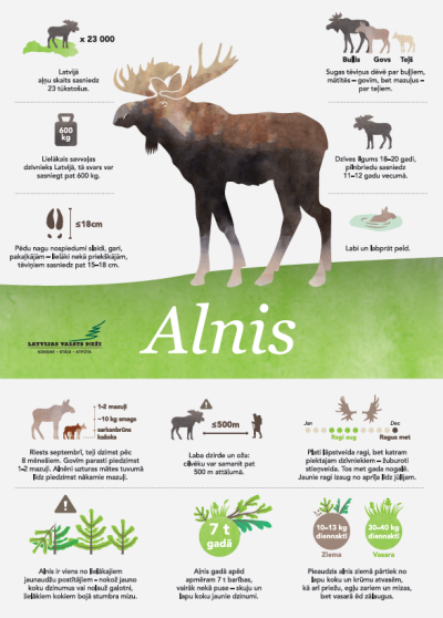 alnis