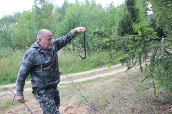 uz cela gul odze. varbut to jaaiznes talak no cela lai kads nesabrauc. img 7527 3