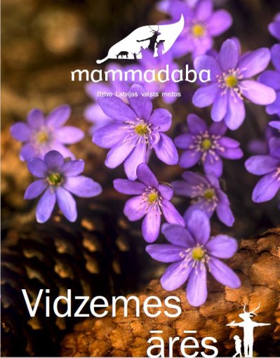 vidzeme