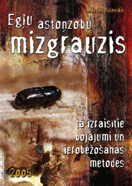 Egļu astoņzobu mizgrauzis, tā izraisītie bojājumi un ierobežošanas metodes.