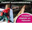 Padomi mežstrādniekiem strādājot vējgāzēs un vējlauzēs