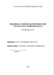 Mikorizas nozīme konteinerstādu vitalitātes nodrošināšanā